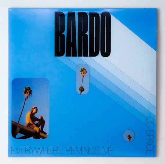 Everywhere Reminds Of Space LP